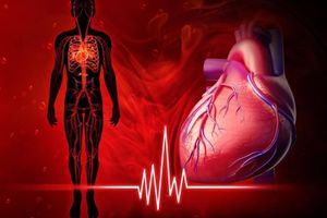 Як нормалізувати роботу серця: 8 рекомендацій кардіологів