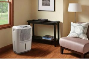 Freshen up your home: Dehumidifiers – discovery for renters and selection tips