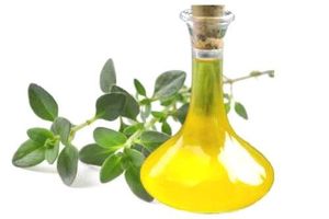 Thymus Vulgaris (Thyme) Essential Oil