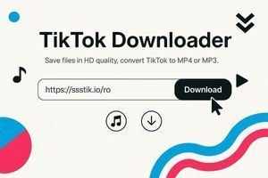 Як використовувати завантажувач TikTok для HD-відео, аудіо та історій