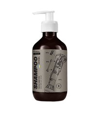 Men's shampoo Against dandruff and dandruff with Vesna conditioning effect 300 ml