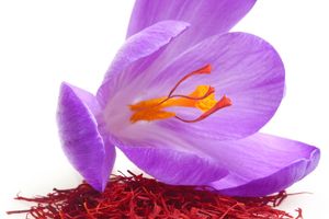 Crocus Sativus (Saffron) Flower Extract