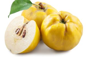 Pyrus Cydonia (Quince) Seed Extract