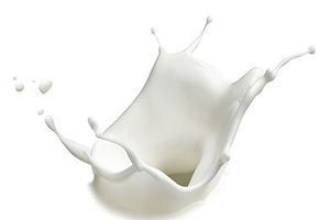 Hydrolyzed Casein