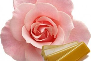 Rosa Damascena (Rose) Flower Wax