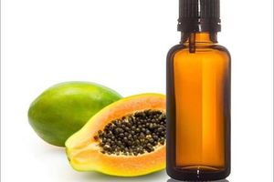 Carica Papaya Seed Oil