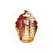 Lip balm Caramel Popcorn Balme 5 g №1