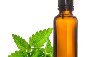 Mentha Arvensis Herb Oil