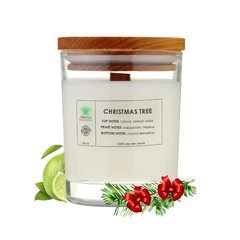 Aromatic candle Christmas tree L PURITY 150 g