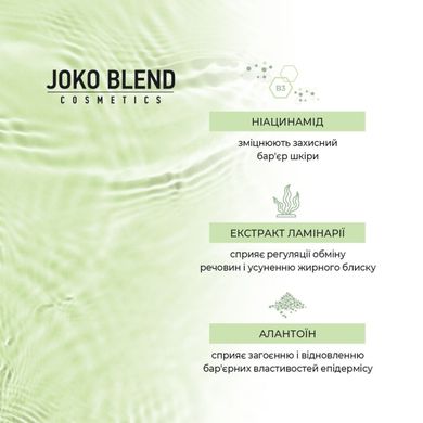 Матувальний тонік для комбінованої та жирної шкіри Skin Detox Joko Blend 150 мл