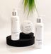 Complex for oily and normal scalp Chaban №4