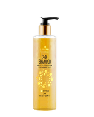Shampoo 24 with argan oil and keratin for damaged hair 24K ANAGANA 250 ml