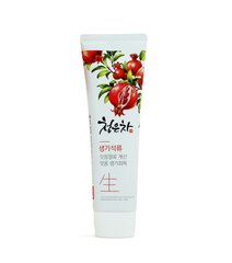 Зубна паста для підтримки здоров'я Pomegranate 청은차 2080 120 г