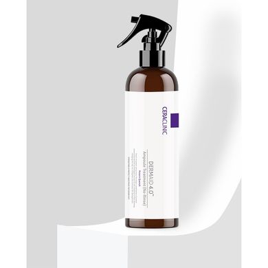 Dermaid 4.0 Ampoule Treatment (No-Rinse) Protein Quench hair spray Ceraclinic 200 ml