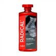Anti-dandruff shampoo for all hair types Farmona Radical 400 ml