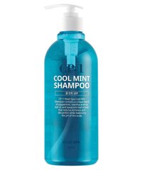 Refreshing hair shampoo with menthol Cool Mint Head Spa Esthetic House CP-1 500 ml