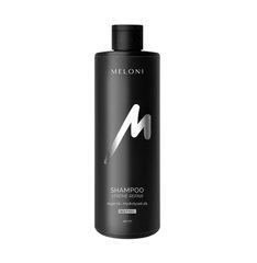 Restorative sulfate-free shampoo with silk hydrolyzate and argan oil SHAMPOO XTREME REPAIR MELONI 450 ml