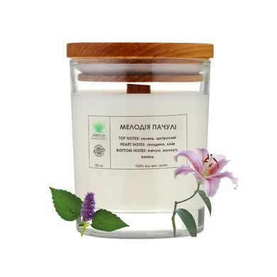 Scented candle Melody patchouli L PURITY 150 g
