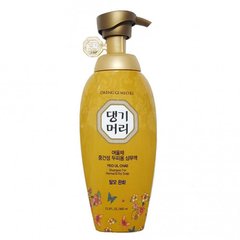 Шампунь для сухого та нормального волосся Yeo Ul Chae Shampoo For Normal and Dry Scalp Daeng Gi Meo Ri 400 мл