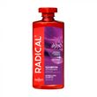 Shampoo for oily hair Farmona Radical 400 ml