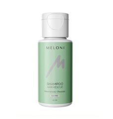 Укрепляющий безсульфатный шампунь против выпадения с ниацинамидом и пребиотиком SHAMPOO HAIR RESCUE MELONI 50 мл