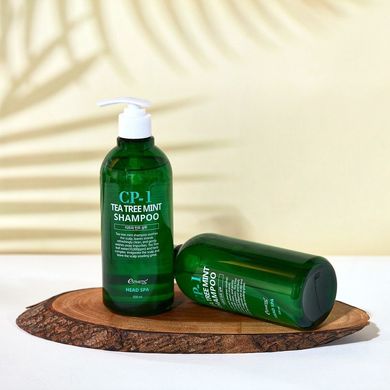 Hair shampoo Calming Tea Tree Mint Shampoo CP-1 Esthetic House 500 ml