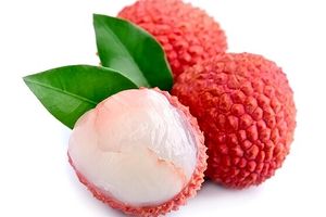 Litchi Chinensis Fruit Extract