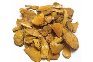 Polygonum Cuspidatum Root Extract