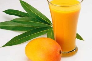 Mangifera Indica (Mango) Juice
