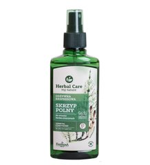 Strengthening conditioner-spray for damaged hair Field Horsetail Herbal Care Farmona 200 ml