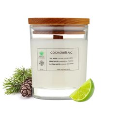 Pine forest L PURITY aroma candle 150 g