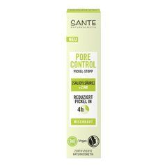 БІО-Засіб від прищів швидкої дії Pore Control антибактеріальний з Цинком SANTE 15 мл