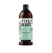 Balancing shampoo for normal to oily hair FIVE HERBS BARWA COSMETICS 480 ml