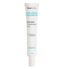 Gel with ceramides to reduce inflammation on the skin of the face Face Facts 50 ml