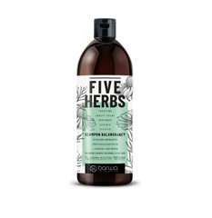 Balancing shampoo for normal to oily hair FIVE HERBS BARWA COSMETICS 480 ml