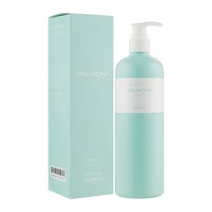 Moisturizing hair shampoo Recharge Solution Blue Clinic Shampoo Valmona 480 ml
