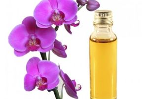 Orchis Maculata Flower Oil