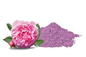 Rosa Damascena Flower Powder