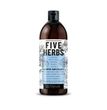 Moisturizing shampoo for dry and damaged hair FIVE HERBS BARWA COSMETICS 480 ml
