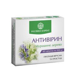 Антивирин при простуде и вирусах Рослина Карпат 60 таб