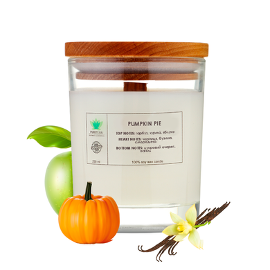 Aroma candle Pumpkin pie L PURITY 150 g