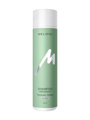 Укрепляющий безсульфатный шампунь Hair Rescue против выпадения с ниацинамидом и пребиотиком MELONI 250 мл