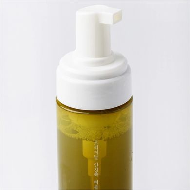 Foam for washing Plant extracts Original Artemisia Bubble Facial Foam Fraijour 200 ml