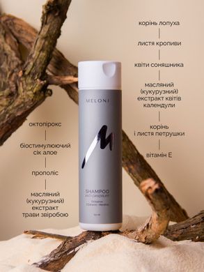 Шампунь від лупи з октопіроксом Anti-Dandruff MELONI 250 мл