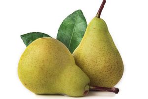 Pyrus Communis (Pear) Fruit Extract