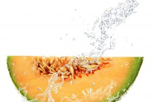 Cucumis Melo Fruit Water