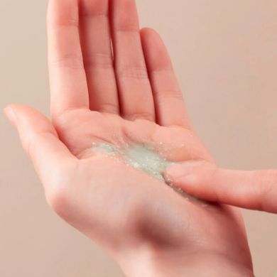 Enzyme powder-mask with wormwood Original Wormwood Enzyme Cleansing Pack Fraijour 80 g