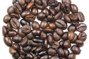 Coffea Robusta Seed Extract